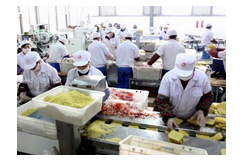 通風蝶閥,套筒閥,三通分料閥應用